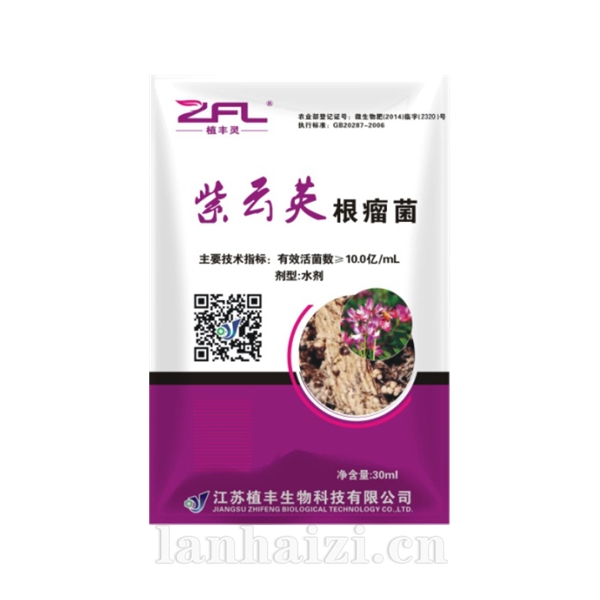 紫云英根瘤菌菌剂
