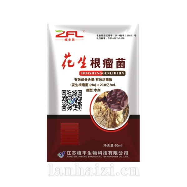 花生根瘤菌菌剂