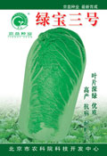 绿宝三号——白菜种子
