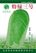 特绿三号——白菜种子