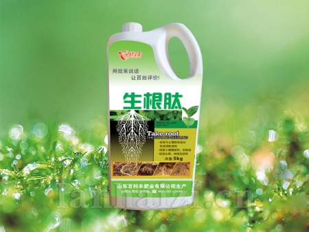 生根肽