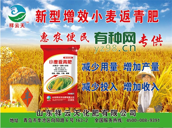  小麦返青肥