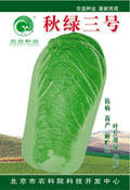 秋绿三号——白菜种子