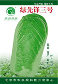 绿先锋三号——白菜种子
