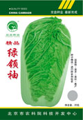 绿领袖——白菜种子