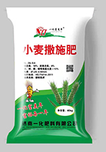 小麦撒施肥