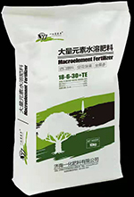 大量元素水溶肥