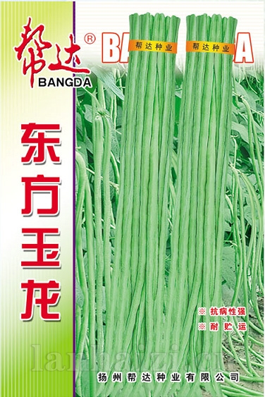 东方玉龙