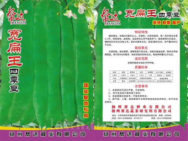 宽扁王四季豆