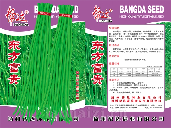 东方富贵豇豆