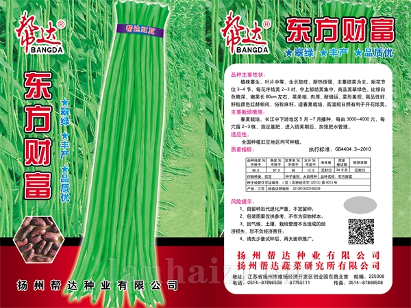 东方财富