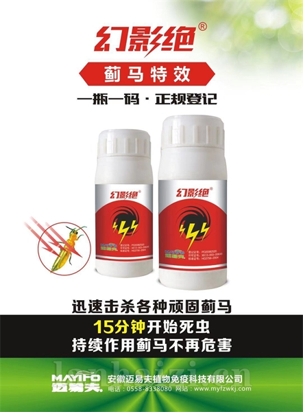 幻影绝（蓟马特效）