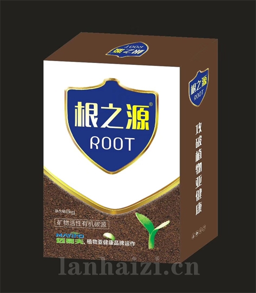 根之源