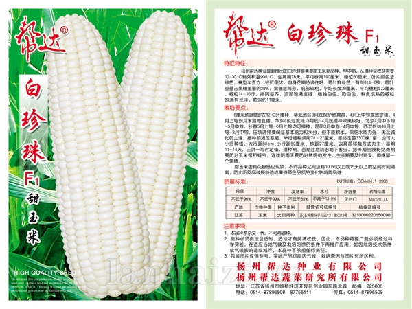 白珍珠甜玉米