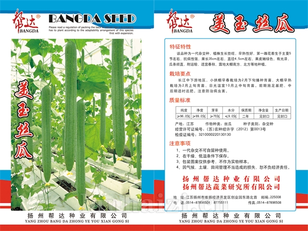 美玉丝瓜