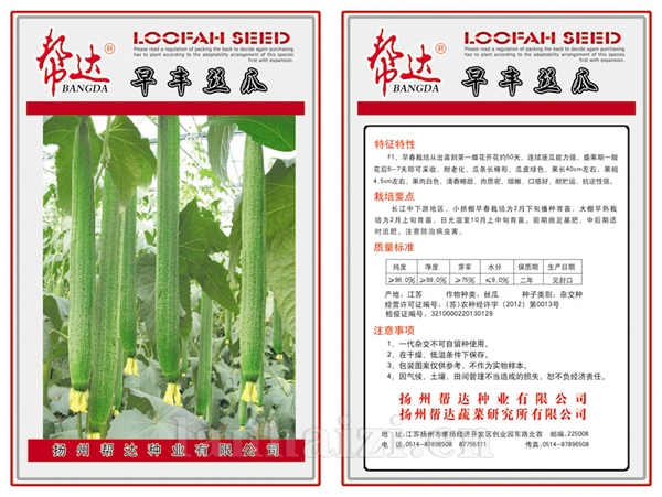 早丰丝瓜