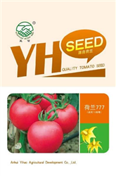 荷兰777　