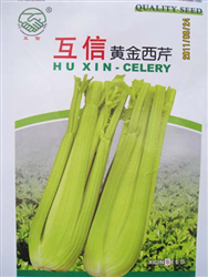 黄金西芹20克