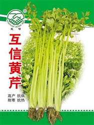 互信黄芹500克