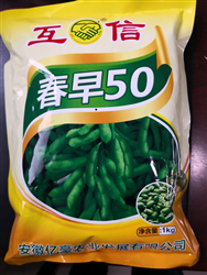 春早50