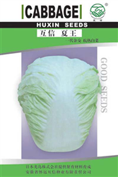 互信夏王