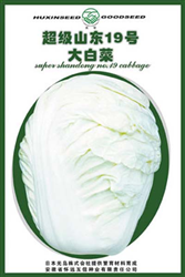 超级山东19