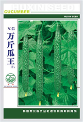 万斤瓜王