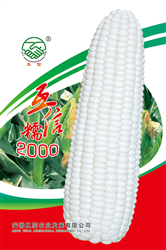 互信糯2000
