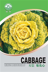 菊花心