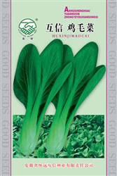 鸡毛菜