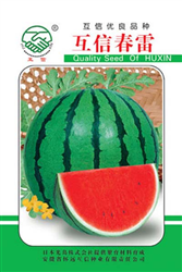互信春雷