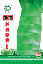 越夏飘香