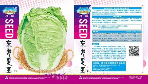 东方夏王