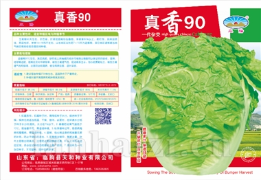 真香90