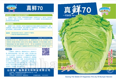 真鲜70
