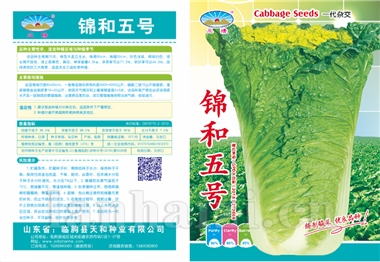 锦和五号