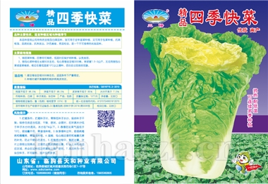 精品四季快菜
