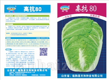 高抗80
