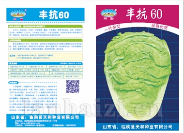 丰抗60