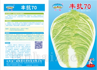 丰抗70