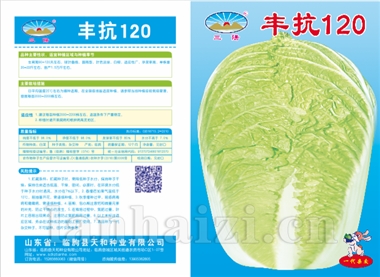 丰抗120