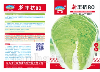 新丰抗80