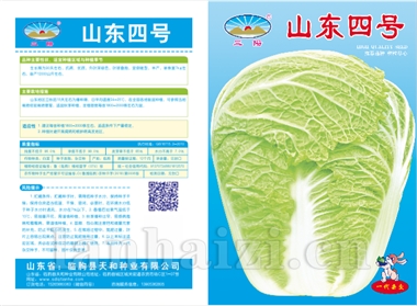 山东四号