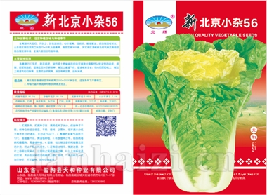 新北京小杂56