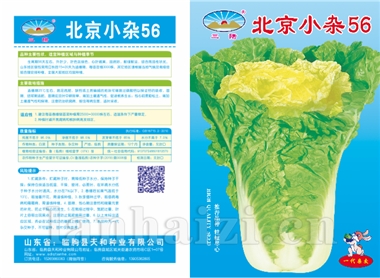 北京小杂 56