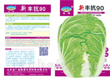 新丰抗90