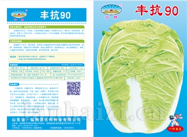 丰抗 90