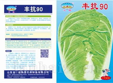 丰抗90