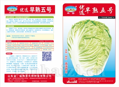 优选早熟五号