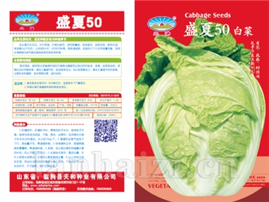 盛夏50